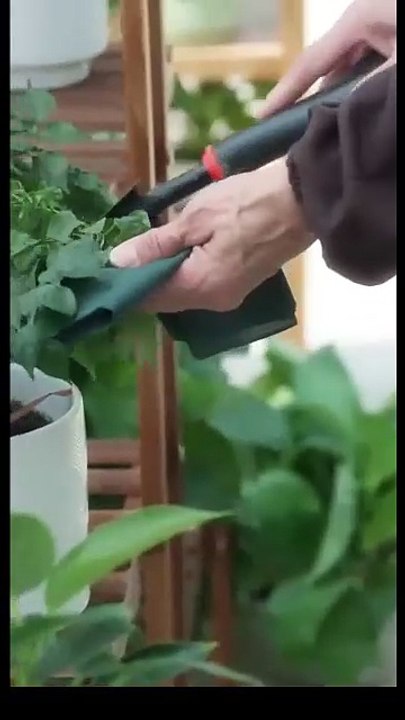 Sadece Seni Seviyorum - Turkish Sub