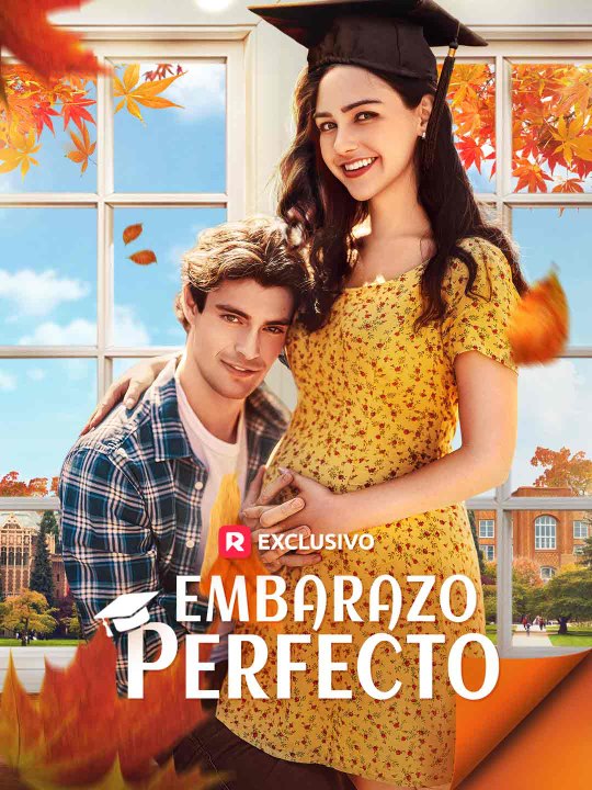 Embarazo Perfecto En Español