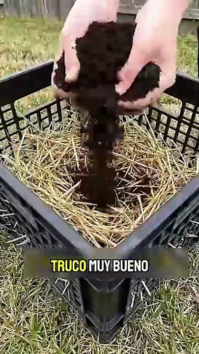 Cómo Sembrar Vegetales en Casa