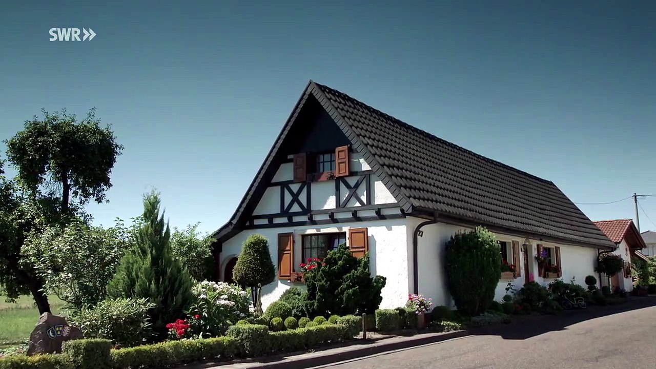 Ein todsicherer Plan (Ganzer Film Deutsch Drama)