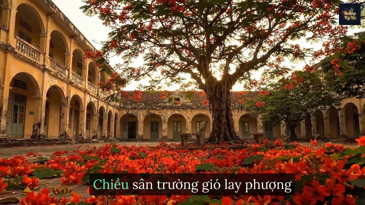 Ghế Đá Sân Trường | Bolero Hoài Niệm Về Mối Tình Đầu Tuổi Học Trò