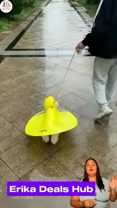 Impermeable para Perros con Ala Ancha | Mantiene a tu Mascota Seca