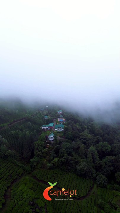 Luxury resorts in Munnar