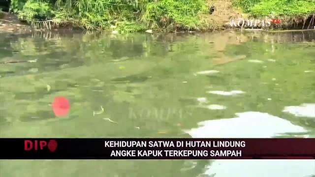 Pulau Sampah Ancam Keselamatan Nelayan di Muara Angke | DIPO INVESTIGASI