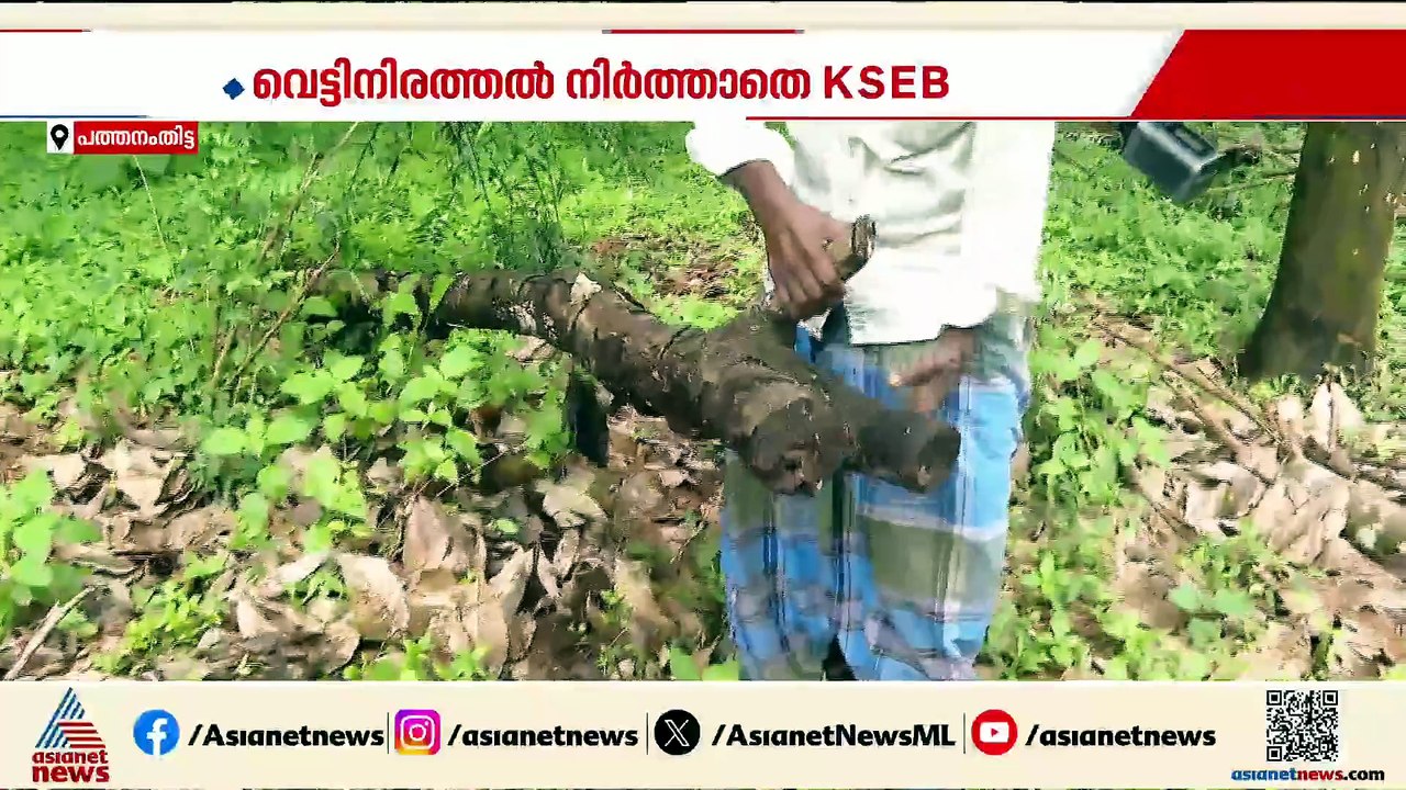 'ചുമ്മാ അവന്മാർ വന്ന് വെട്ടുകയാണന്നേ...'; KSEB...