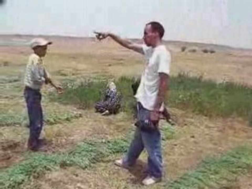 Récolte timdline juin 08 zaouit sidi ahmed maroc