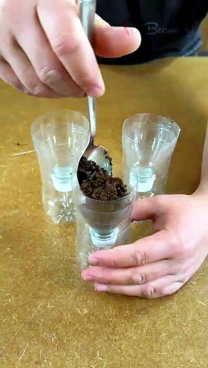 Easy Garlic Growing Hack 🧄
