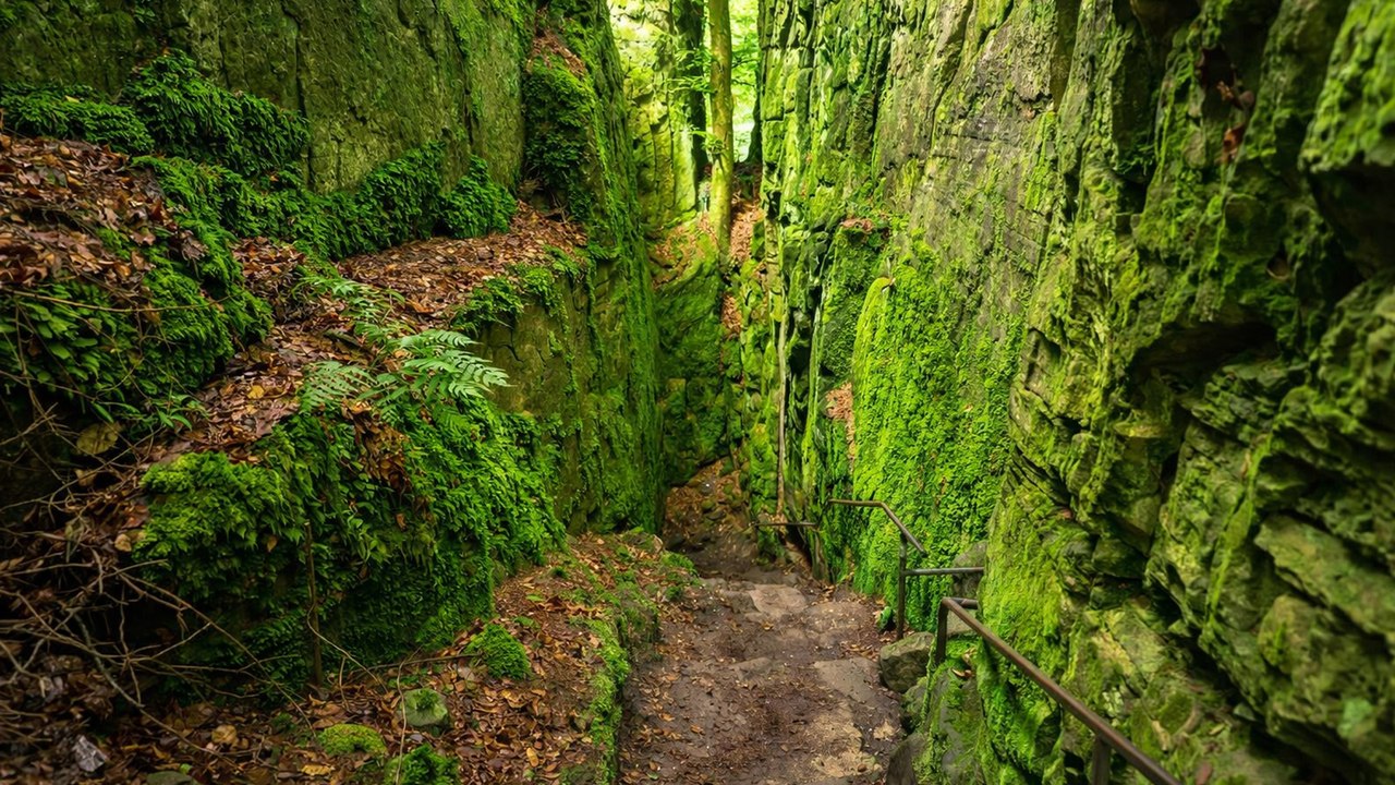 This Eifel Gorge Trail Feels Like Another World