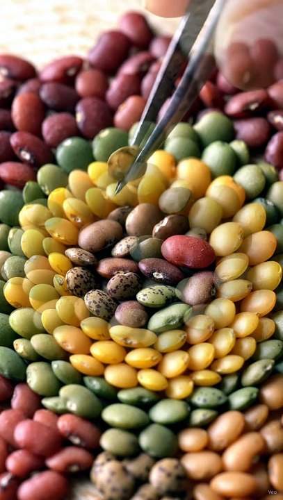 Lentils Arranged Into a Beautiful Mandala Pattern 🌈✨ Satisfying Art