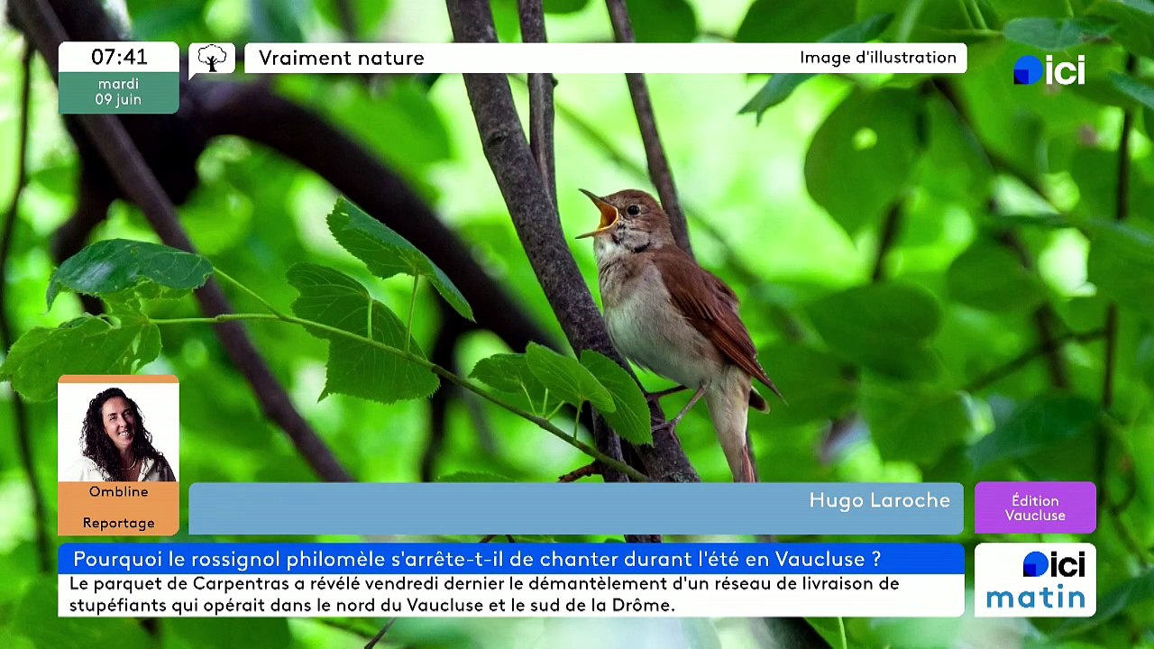 09/06/2026 - ici matin par ici Vaucluse en vidéo