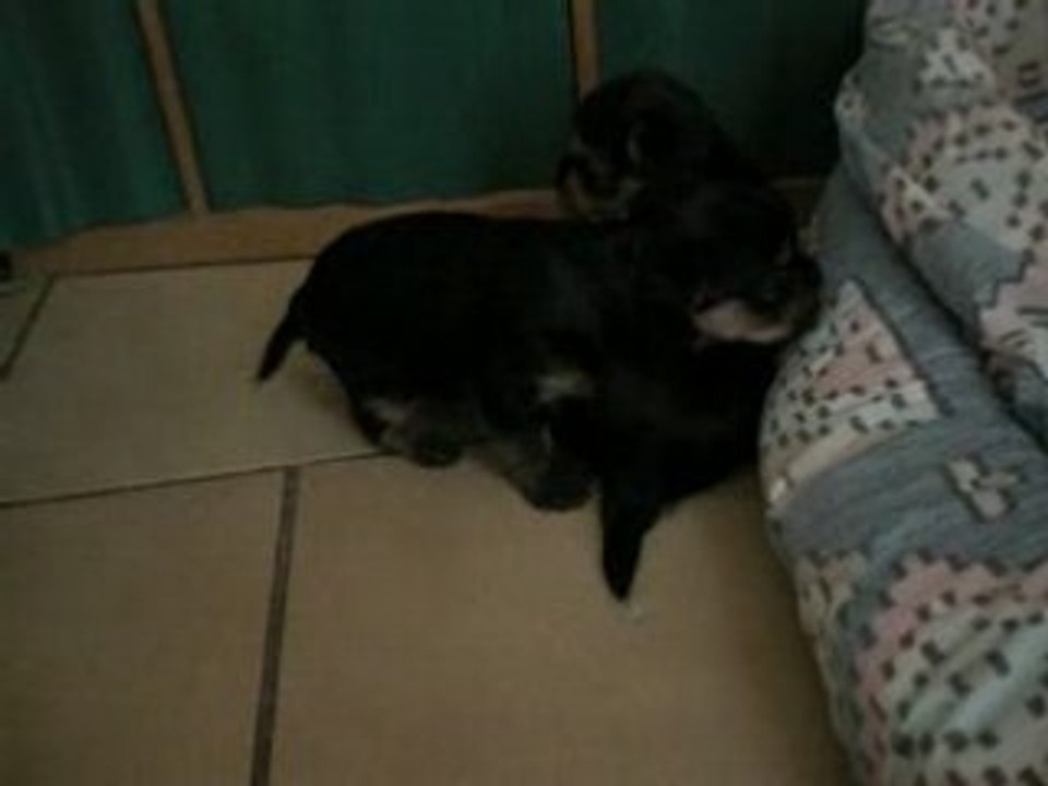 DSCN0703