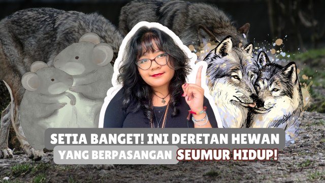 Anti Selingkuh? Ini 5 Hewan yang Dikenal Paling Setia di Dunia-Serius Ini Hewan?