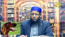 حكم إقناء الكلاب الأستاذ الدكتور محمود الحفناوي الأنصاري أستاذ الحديث وعلومه