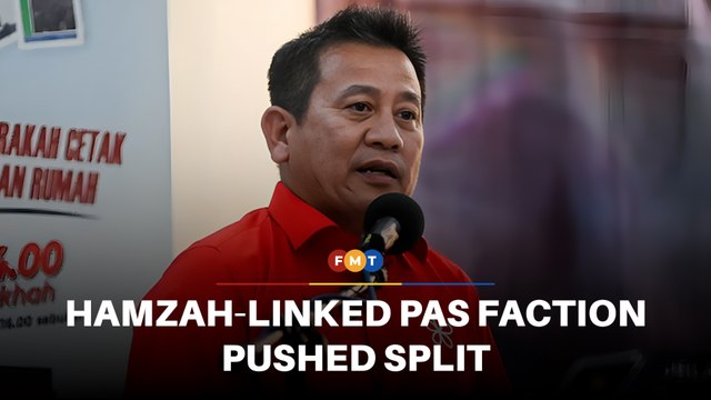 Hamzah-linked PAS faction pushed for split with Bersatu, claims Tun Faisal