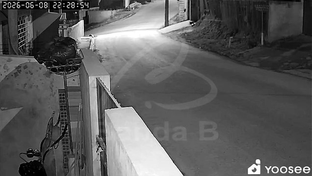 Caminhão com toras tomba sobre casa em Rio Branco do Sul