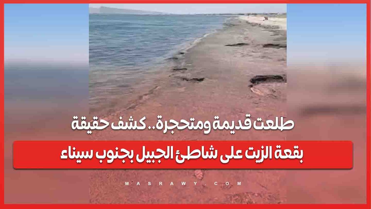 طلعت قديمة ومتحجرة.. كشف حقيقة بقعة الزيت على شاطئ الجبيل بجنوب سيناء