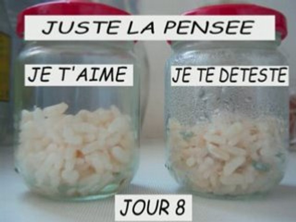 Expérience du RIZ !