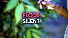 A Lake Silently Killed 1,700 People Overnight — No Warning At All