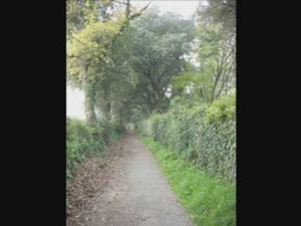 Vacances en Bretagne, avril 08