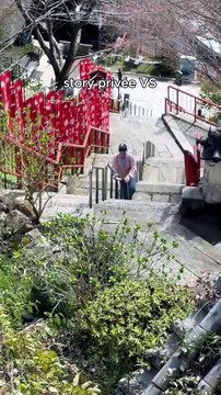 Pourquoi tout les temples sont en haut d'escaliers ?? 😔 #japon #voyagejapon #temple #humour