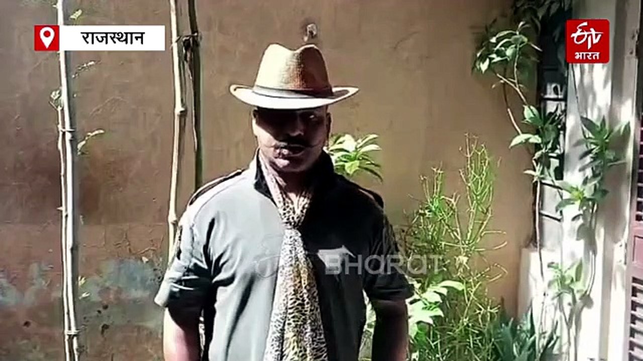 सरिस्का के जंगल में दिखा दुर्लभ मादा गोल्डन सांभर, पहले किसी भी टाइगर रिजर्व में नहीं हुई साइटिंग