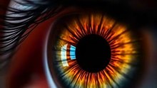 Your Memory Is Lying To You Right Now