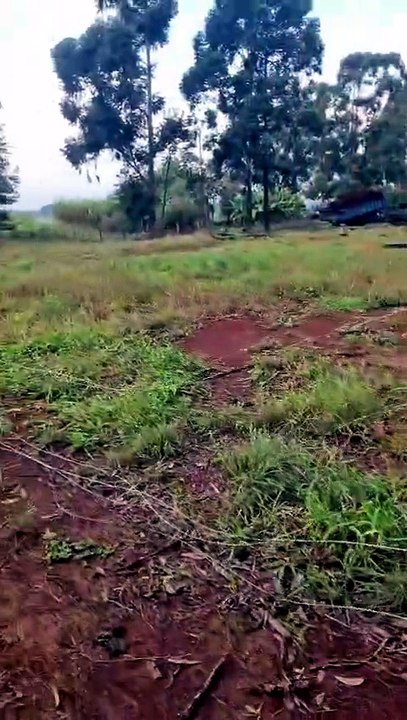 Video de la propiedad invadida.