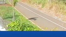 Mulher ateia fogo em mata e provoca incêndio criminoso