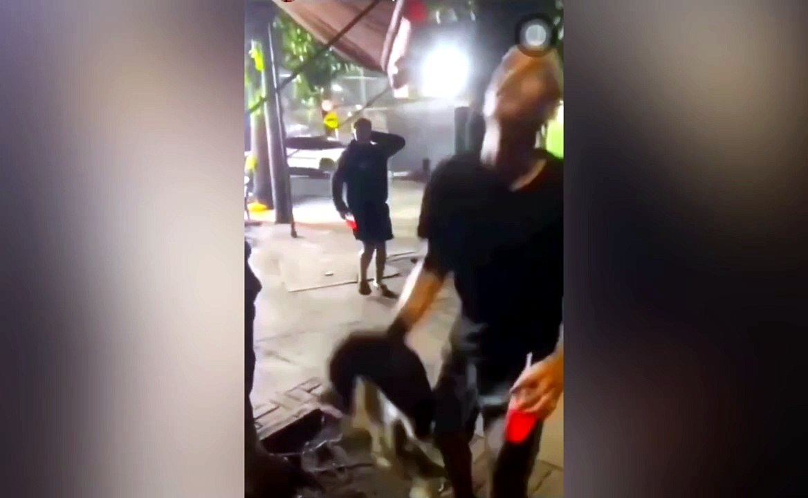 Homem grava vídeo arremessando gato de rua e é preso