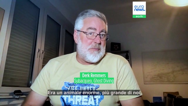 Subacquei girano il primo video in assoluto di uno squalo bianco nel Mediterraneo