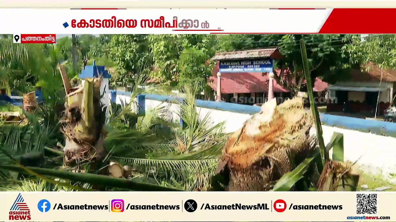 KSEBക്കെതിരെ വീണ്ടും വെട്ടിനിരത്തൽ പരാതി; കോടതി...