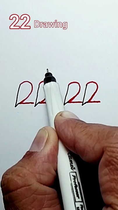2222 drawing from bird