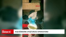 Kağıthane’de kuş kümesine uyuşturucu operasyonu: Teraziyi fazla yem vermemek için kullanıyorum