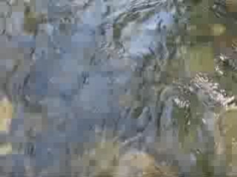 Johnny Cash's Bridge Over Troubled Water