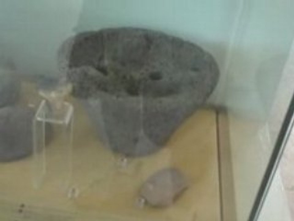 Carthege Museum..