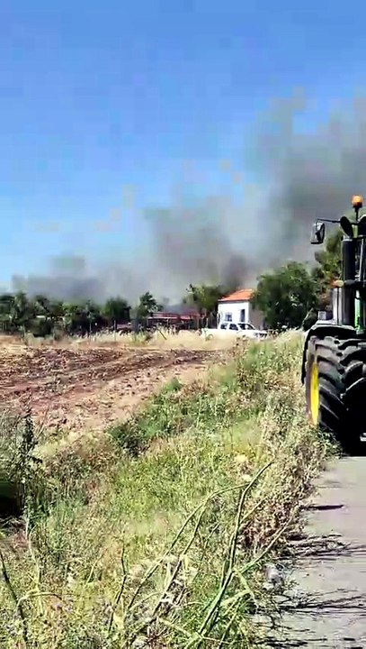 Incendio en Cabeza de Palo