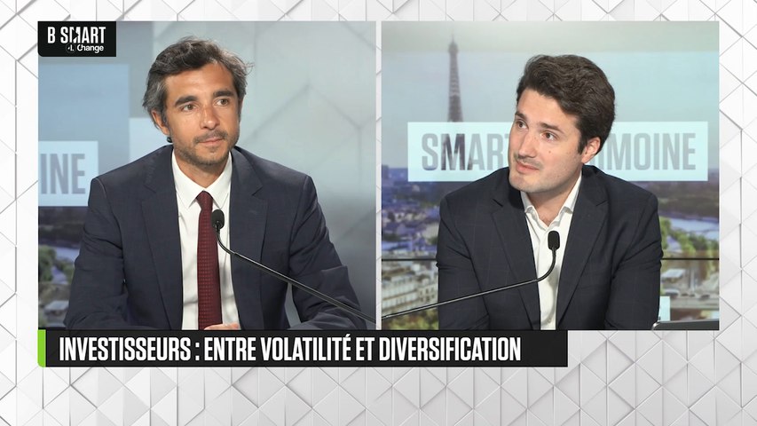 Investisseurs : entre volatilité et diversification