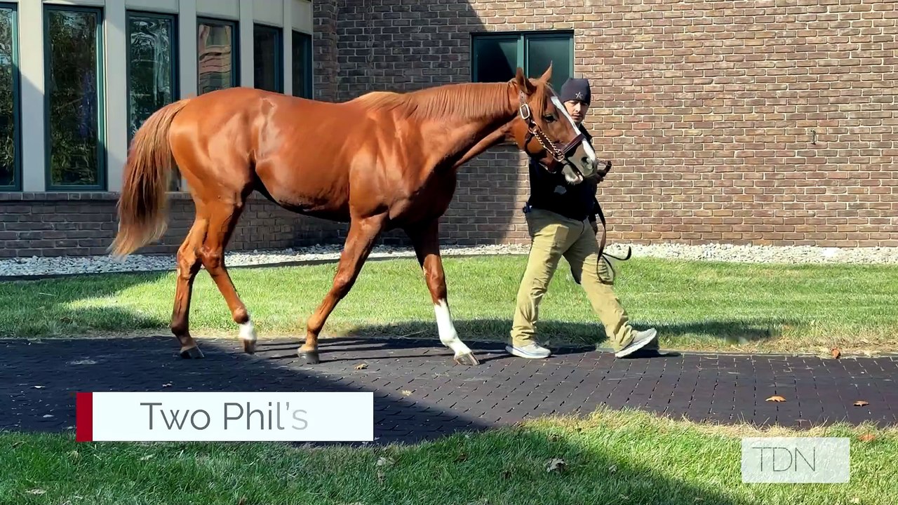Englishman the Fastest Horse of the Week, And Boy, Was He Fast!