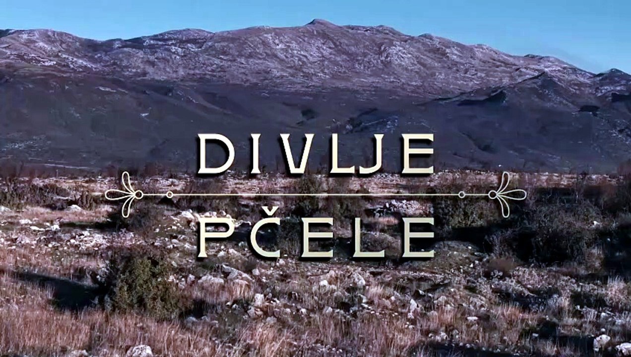 Divlje pčele Epizoda 151