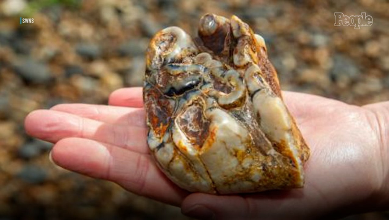 Mom and Son Find 1.8 Million Year-Old Elephant Tooth During Beach Walk: 'Quite Incredible'