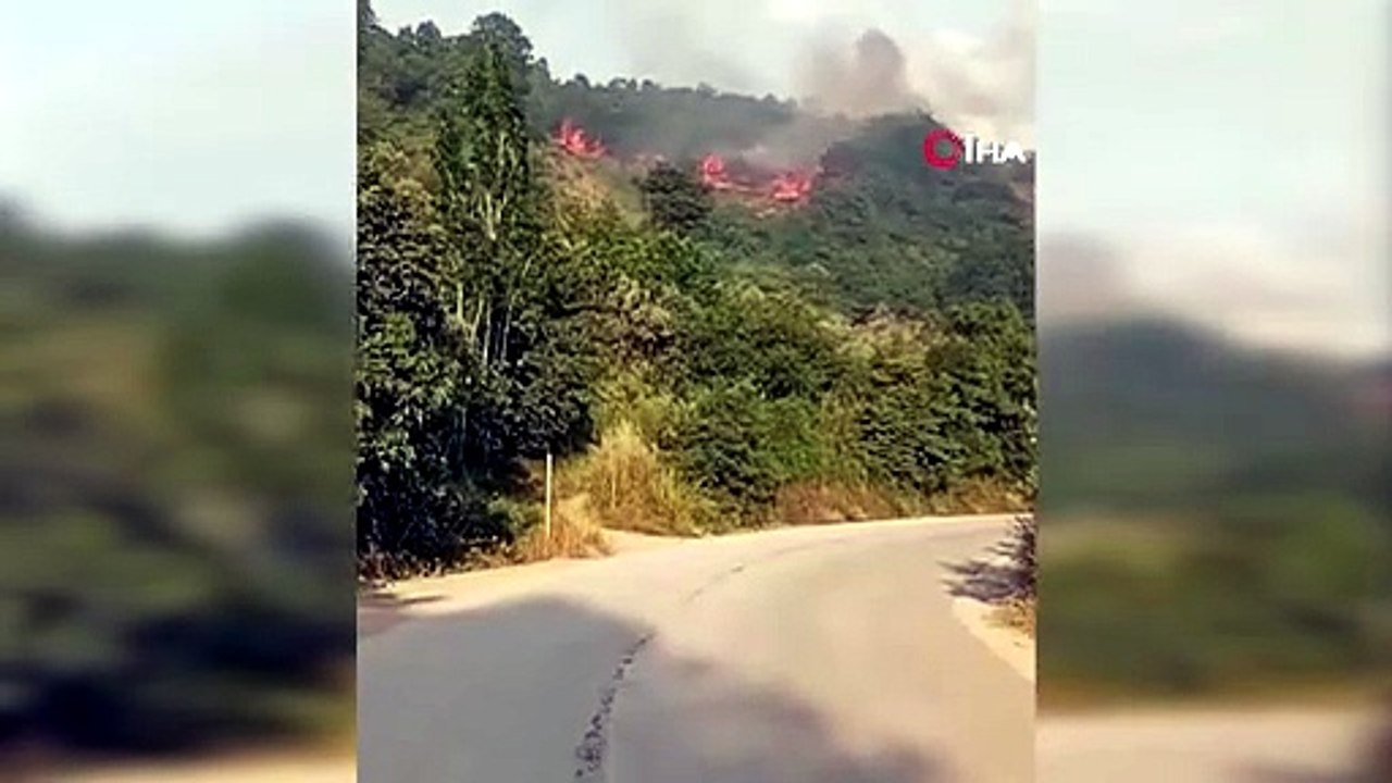 Bursa’da makilik alanda yangın