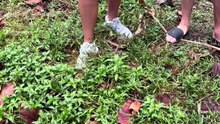 Girl's Hilarious Reaction to a Giant Spider!