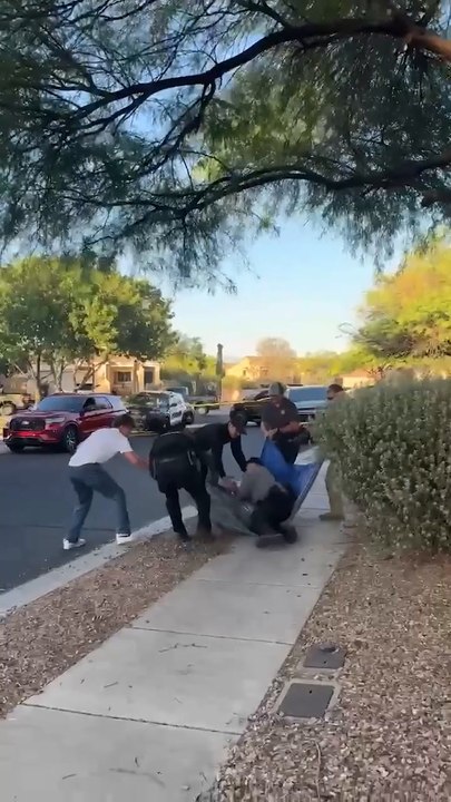 Sedated bear falls from tree, taking cop down with him