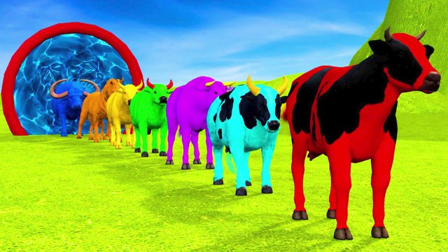 Color Animals Cow Ox Bull Buffalo Cartoon Farm Animals Fountain Crossing Animal Cartoon thumnail