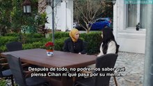 Gelin Capítulo 380 | La Novia | Novela Turca en Español