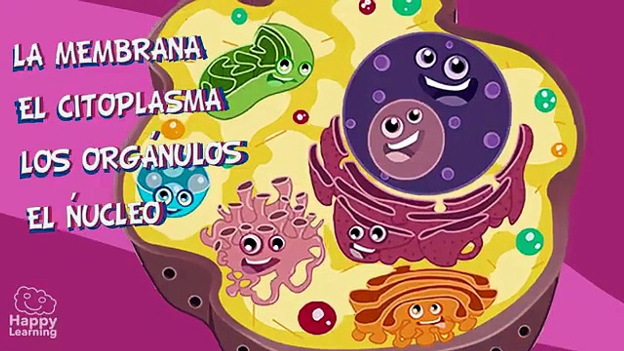 La célula y sus partes. Vídeos educativos para niños.