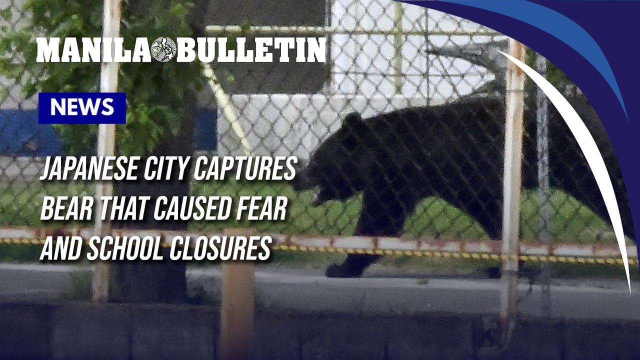 Japanese city captures bear that caused fear and school closures
