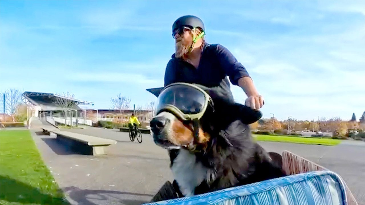 Guy Sells His House To Spend More Time With His Dog
