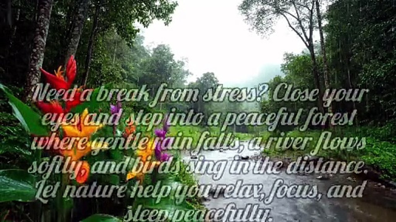 Rainy Forest River Relaxing Nature Ambience with Birds & Flowing Water for Sleep, Study & Meditation #rain #relax #deepsleep #trending #viral