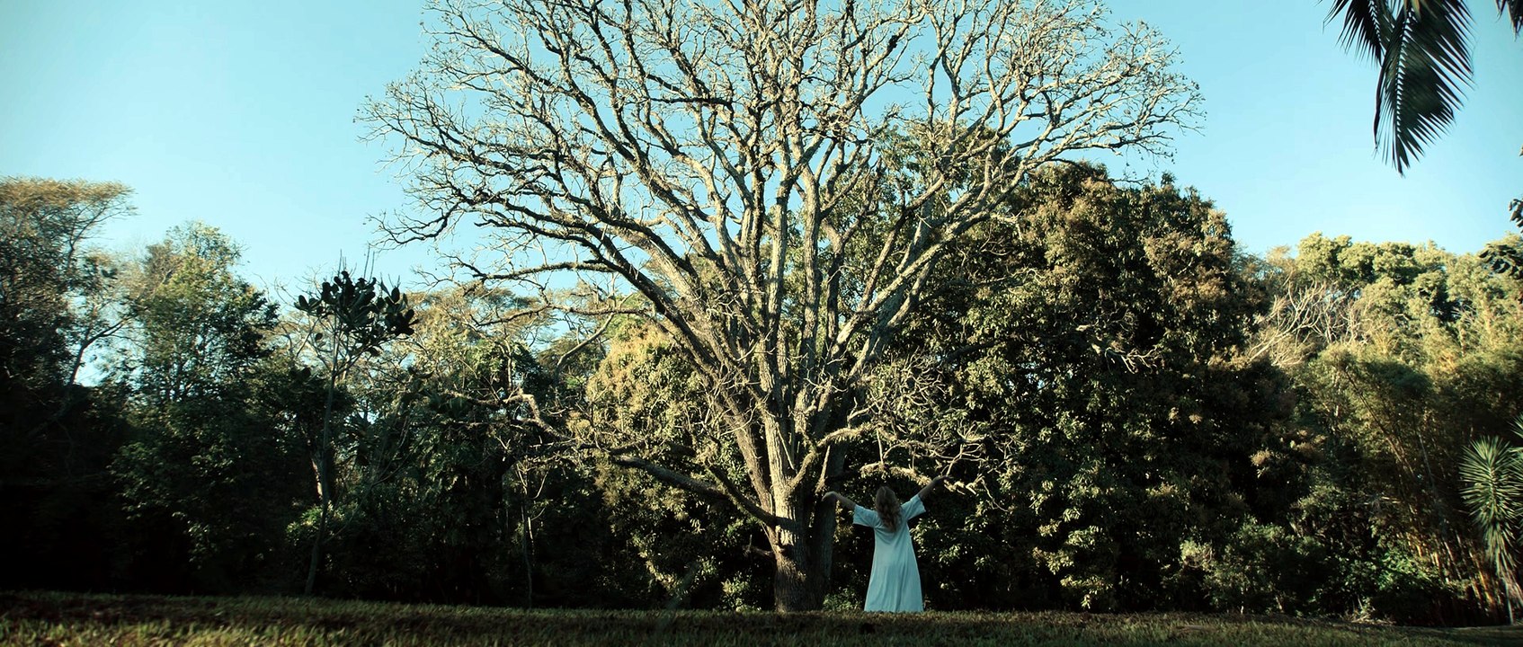 QUASE INVERNO - Teaser